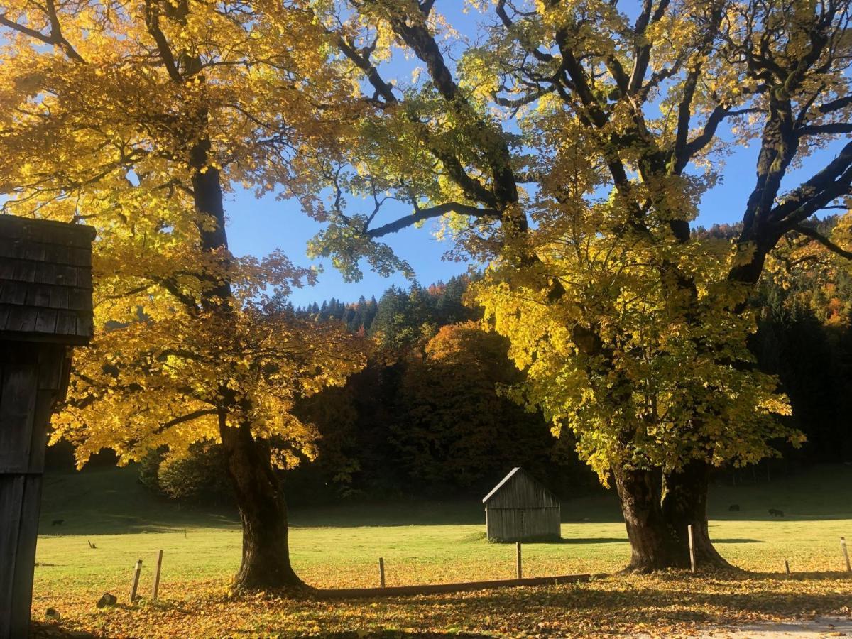 Die Alte Blaa Altaussee Extérieur photo