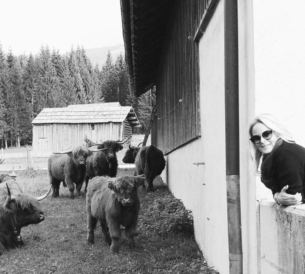 Die Alte Blaa Altaussee Extérieur photo
